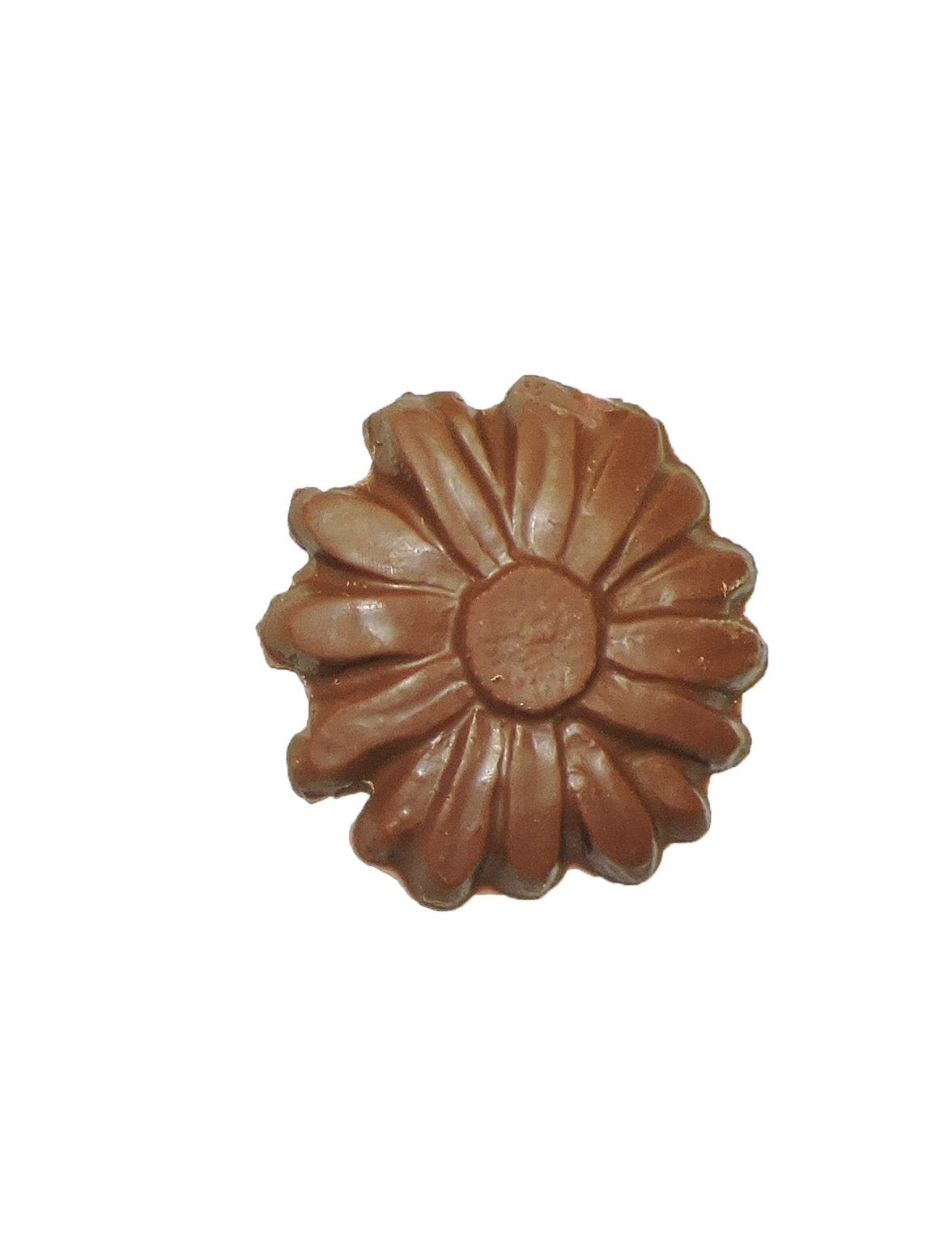 Chocolate Pops - Seasons