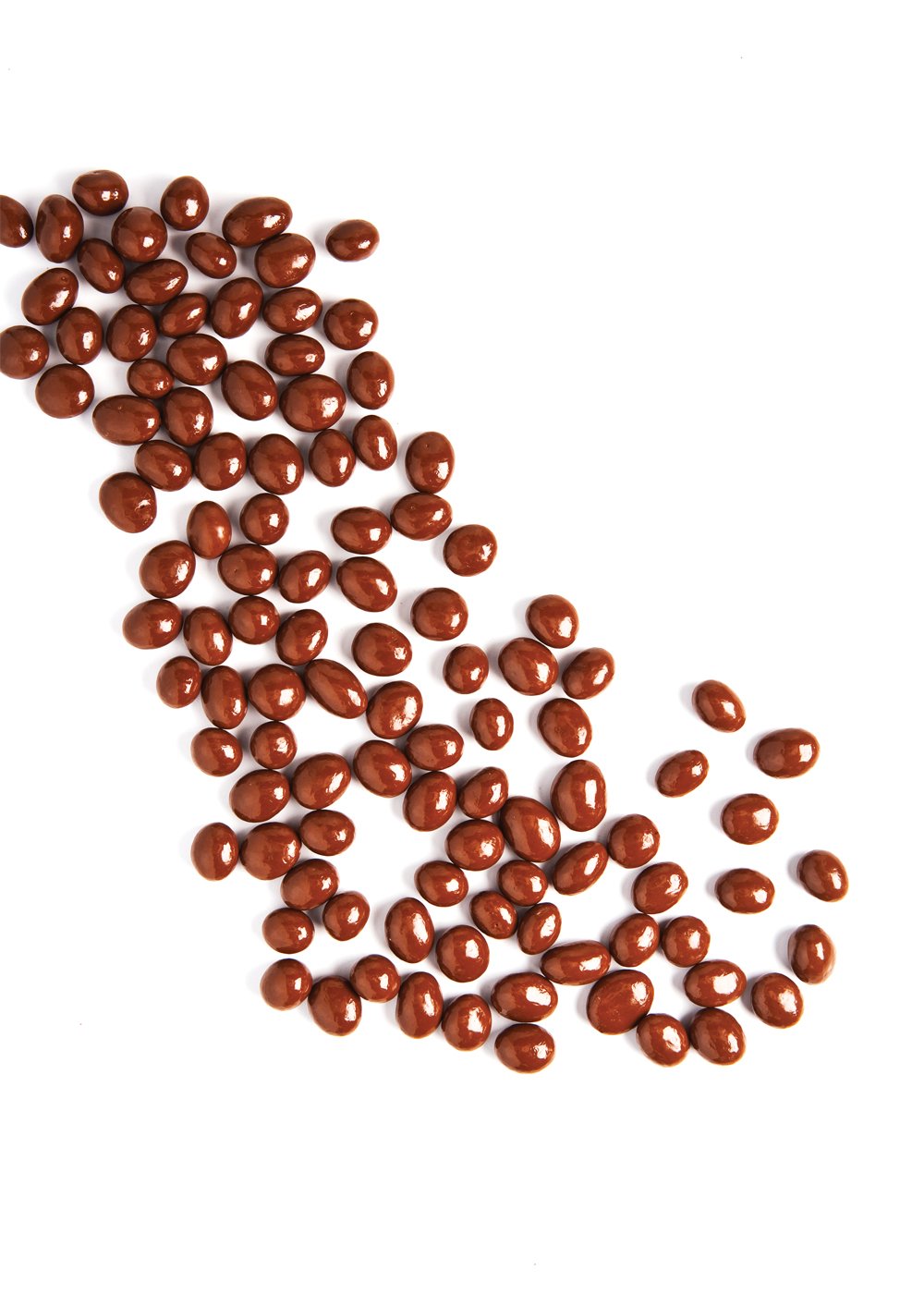 Chocolate Covered Raisins