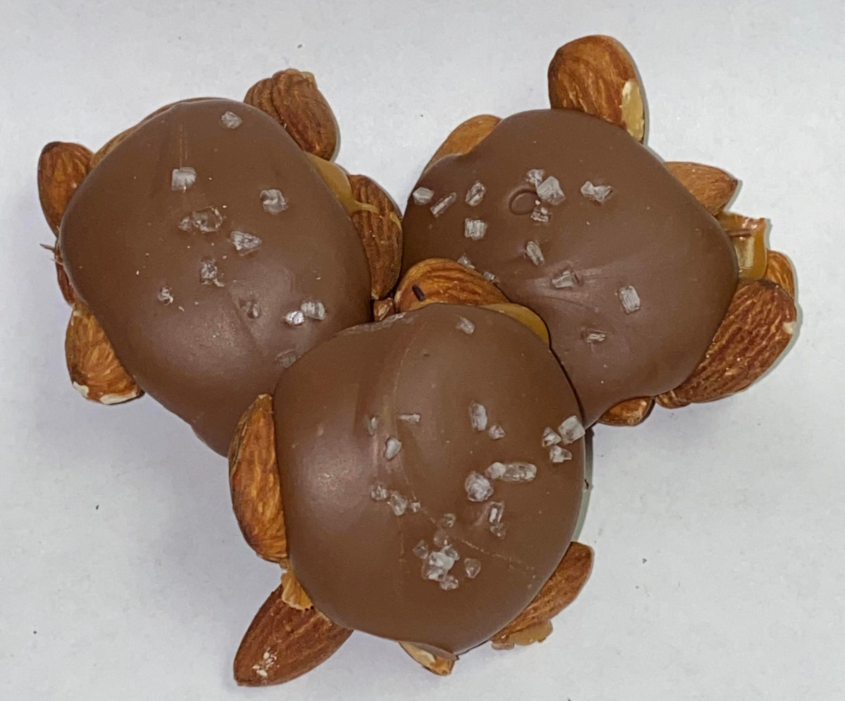 Sea Salt Raclets Almond Sea Salt Patties – Furlongs Candies